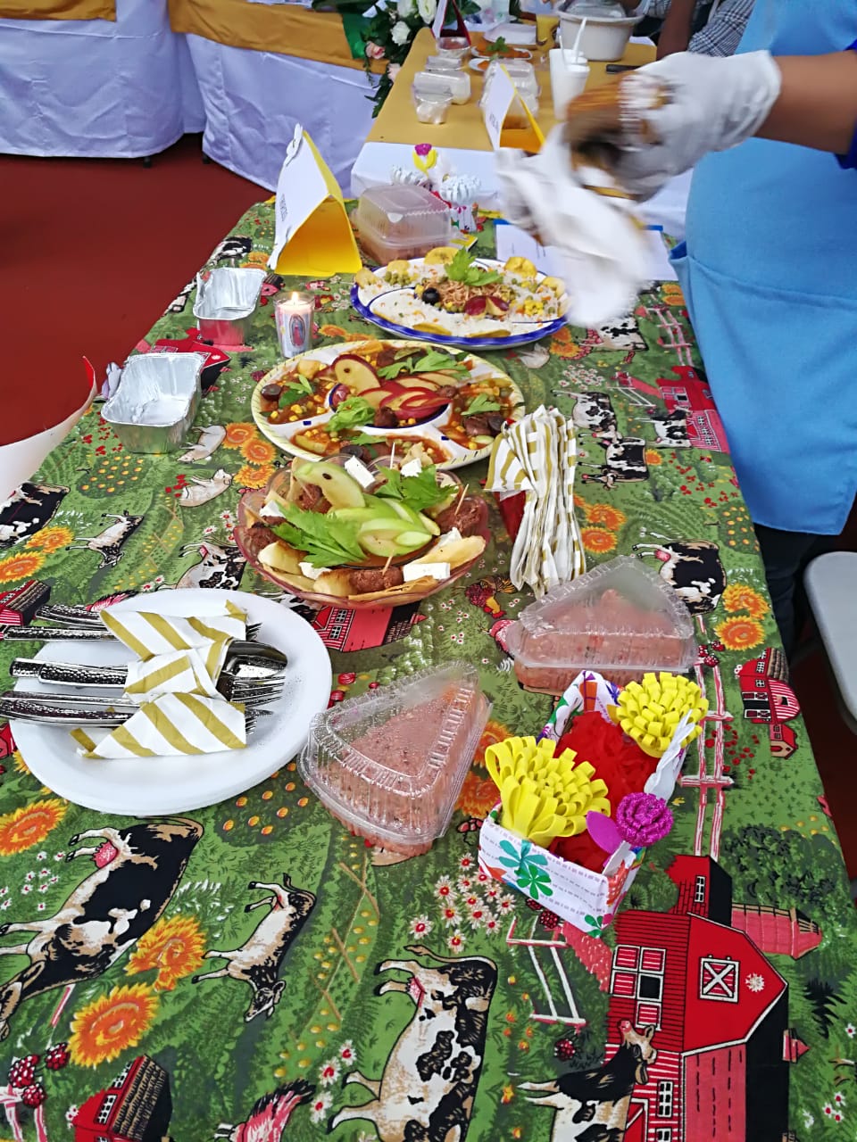 Bilwi2
